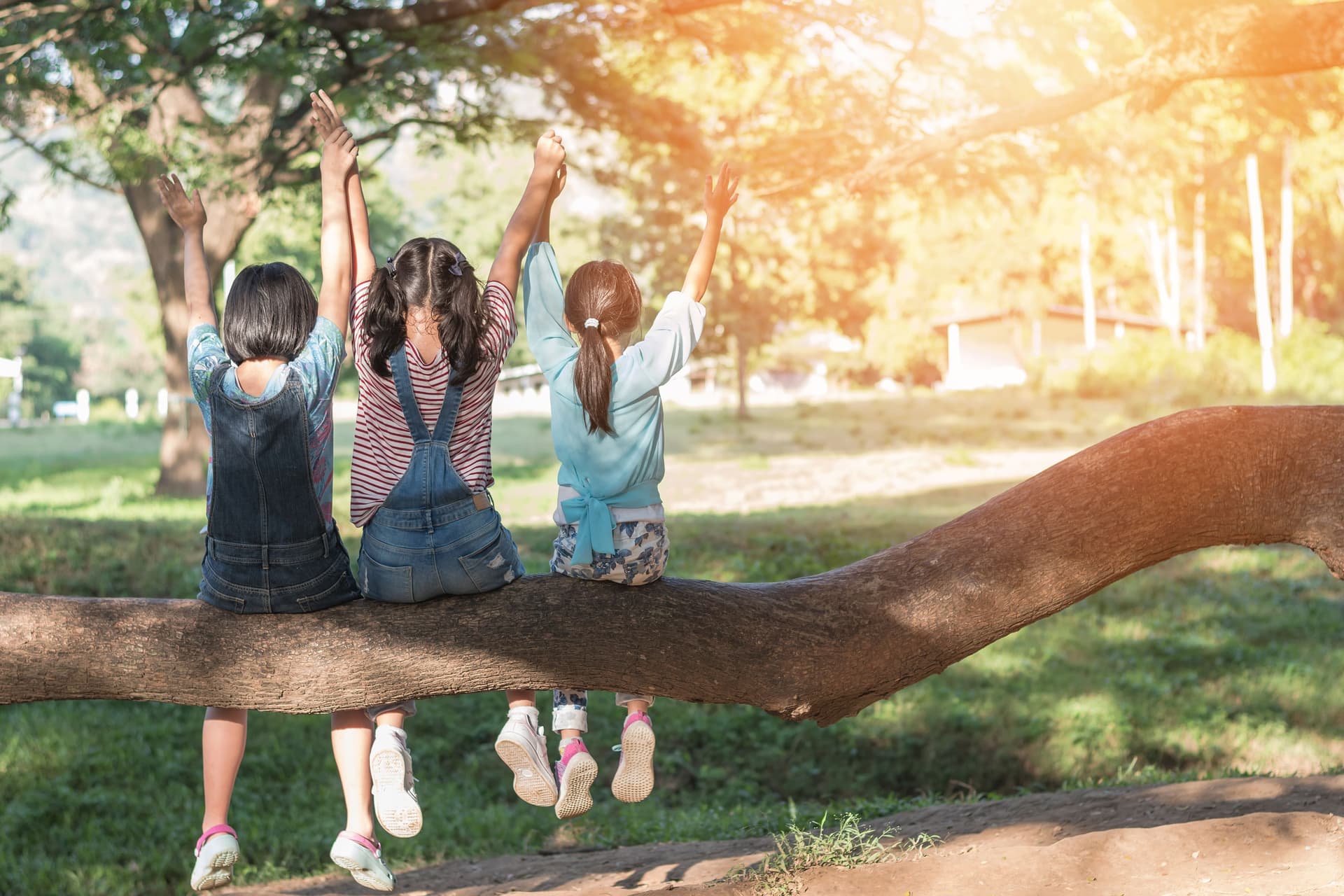 How Much Does a Family Trip to an Amusement Park Cost?