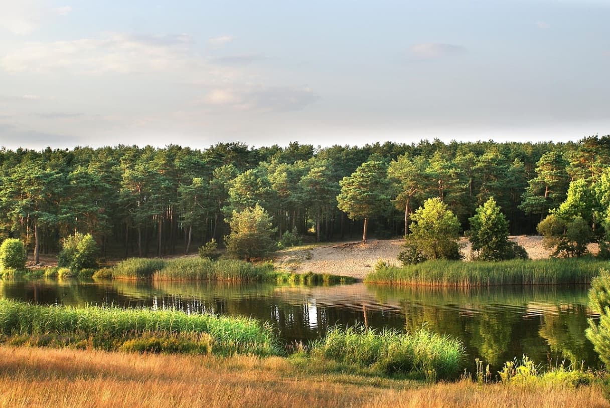 Summer Language Camp in Świętokrzyskie: How to Combine Language Learning with Active Recreation