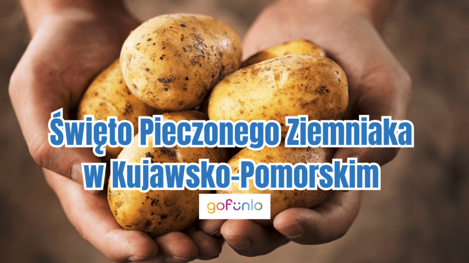 Święto Pieczonego Ziemniaka w Kujawsko-Pomorskim – Atrakcje i Warsztaty w Agrodeo