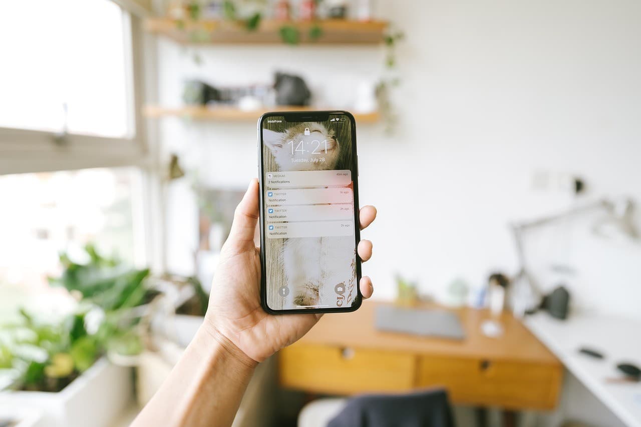 Telefon na kolonii – wróg czy sprzymierzeniec?