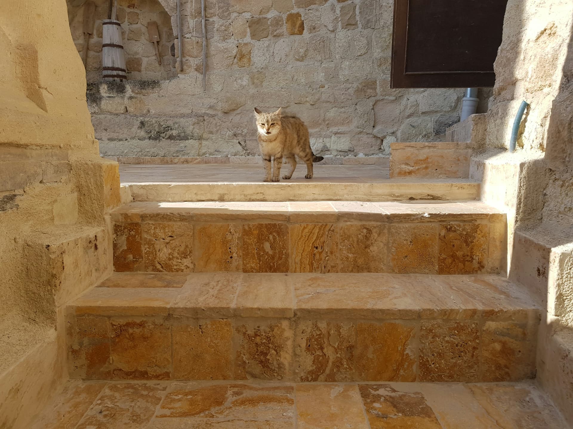 Relax in Turkey - What Do You Think?