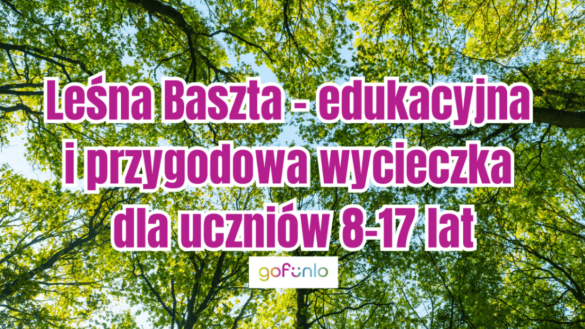 Forest Tower – an educational and adventure trip for students aged 8–17