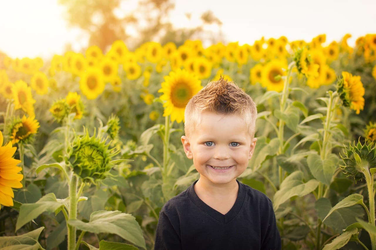 Boys Camp – unique camps exclusively for boys: why is it worth sending your child?