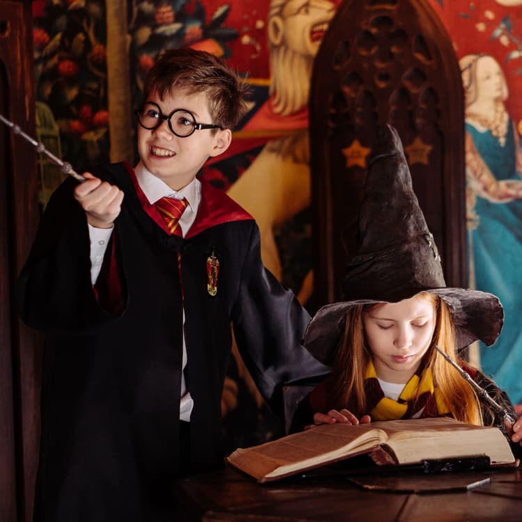Harry Potter - Szkoła Magii i Czarodziejstwa