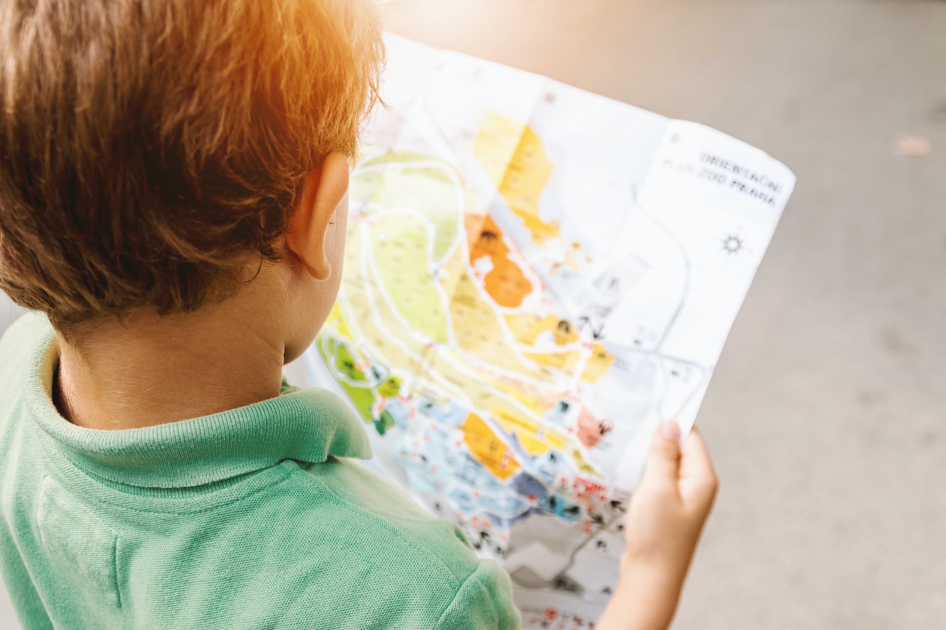 Why is it Worth Sending Your Child on a School Trip?