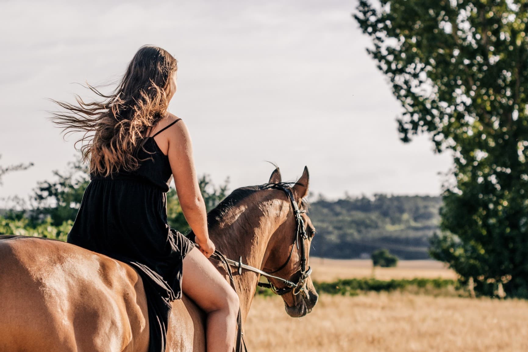 Where the gallop meets the sunset – horseback riding camps.