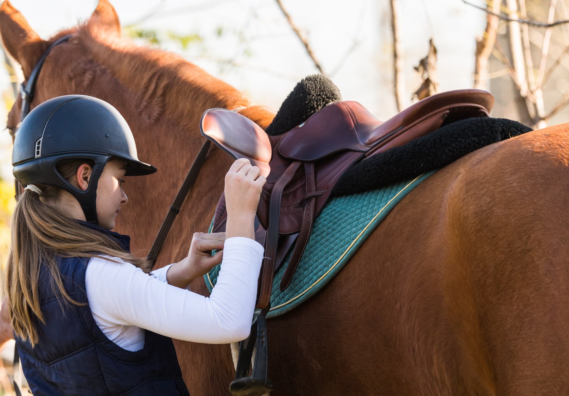 School Trips - Wilga Stable