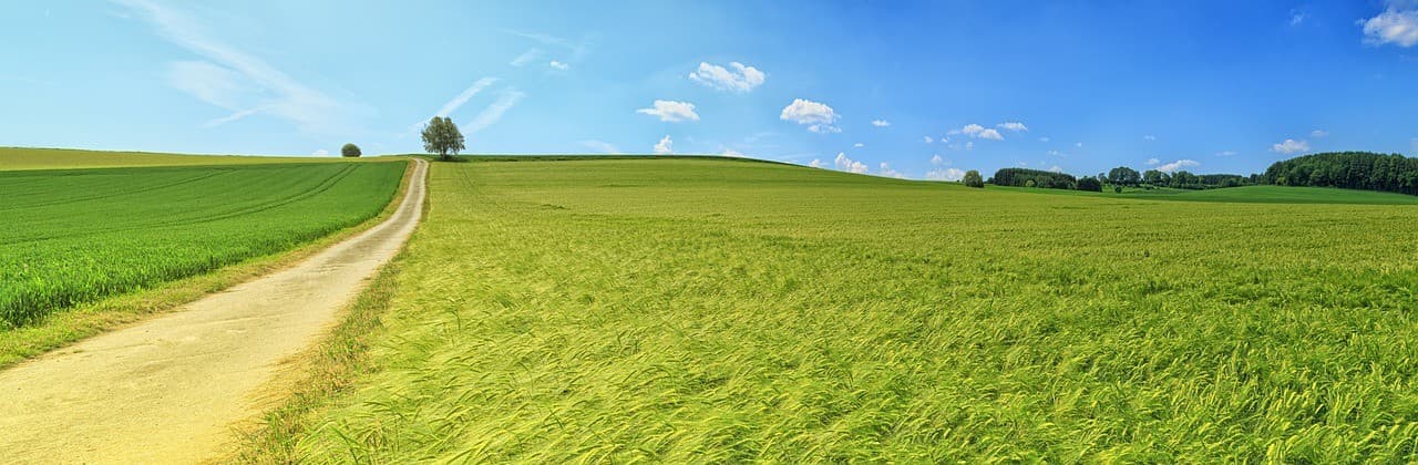 Summer in the Countryside – A Holiday Adventure Close to Nature
