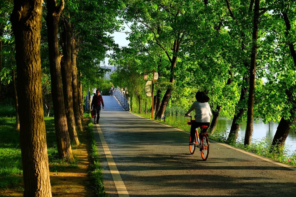 Prepare for a bike trip – what you need to know before you start.