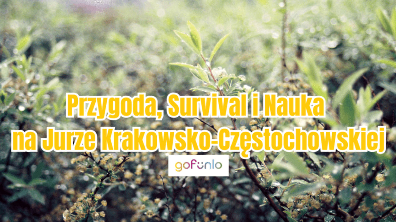 Adventure, Survival, and Learning in the Kraków-Częstochowa Jura – A Trip for Young Explorers